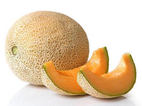 melon kampos